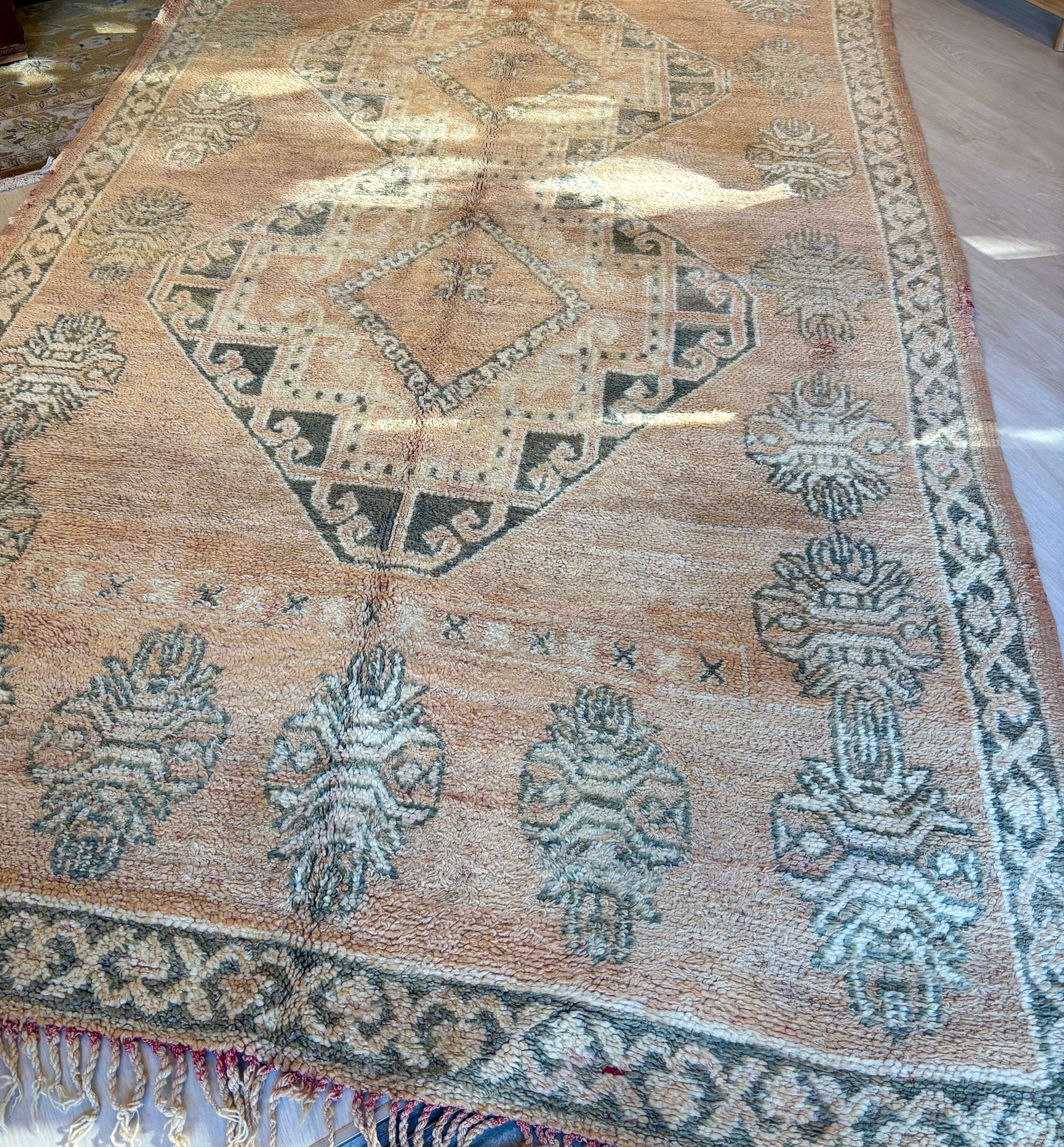 Agrandir