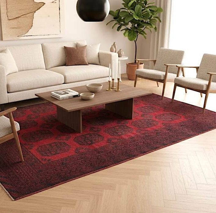 Afghan Hand-knotted Rug