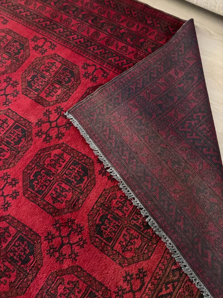 Afghan Hand-knotted Rug