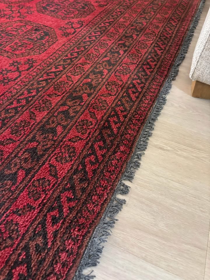 Afghan Hand-knotted Rug