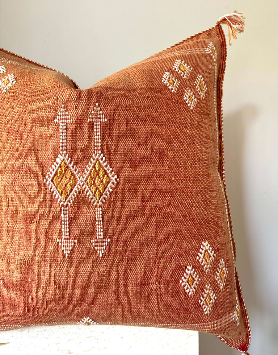 Moroccan cactus silk cushion