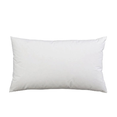 Insert de coussin lombaire en plumes premium 60 x 40 cm