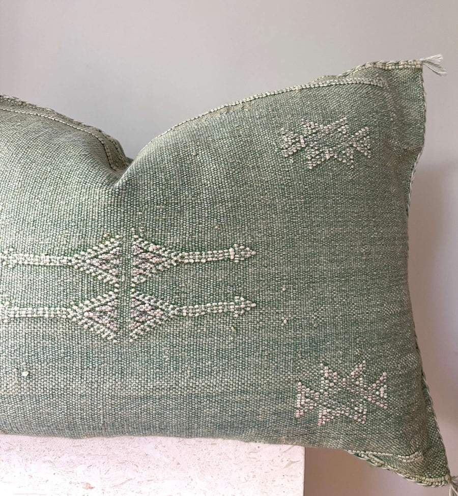 Cactus silk cushion