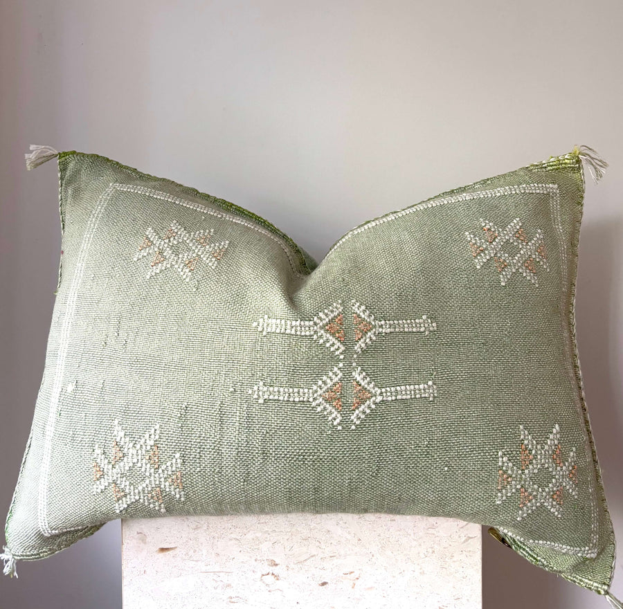 Cactus silk cushion