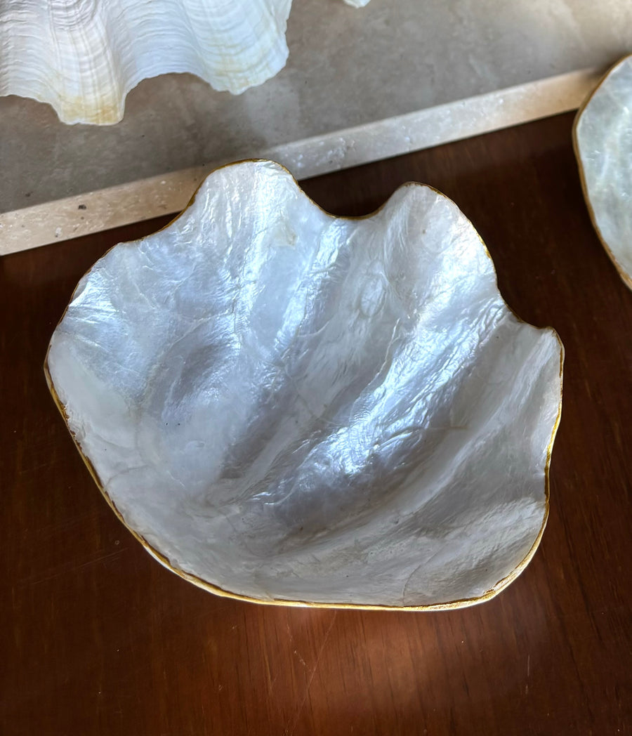 Clam Shell trinket tray