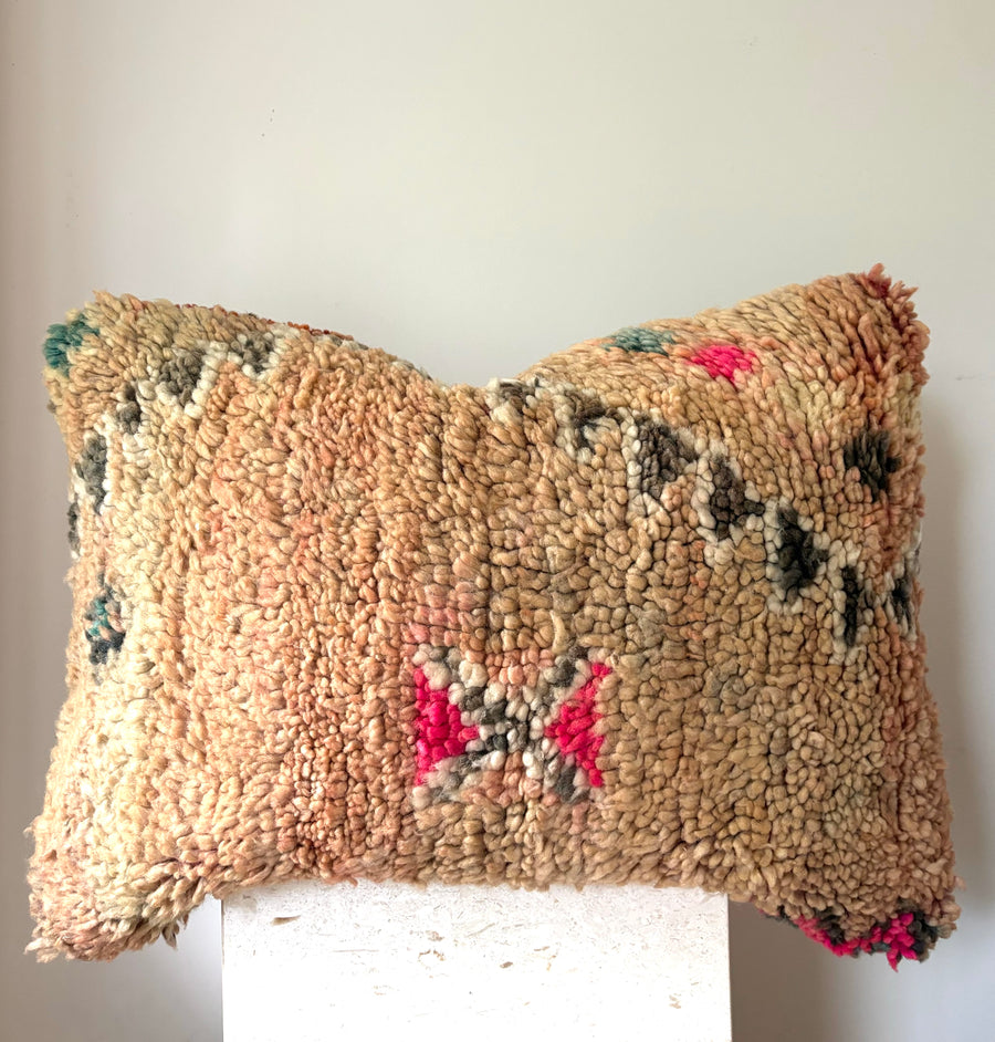 Desert Peach | Vintage cushion