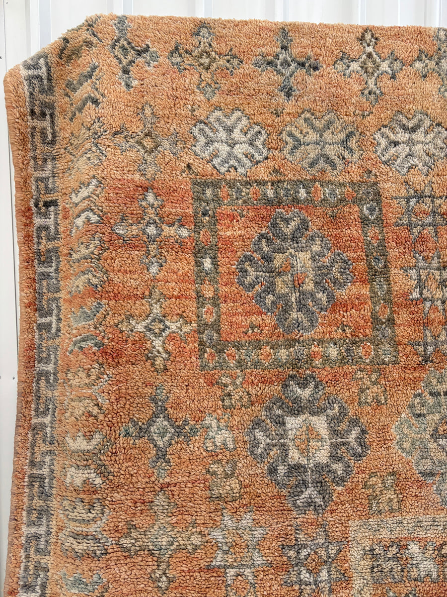 Desert Gem | Vintage rug | Large