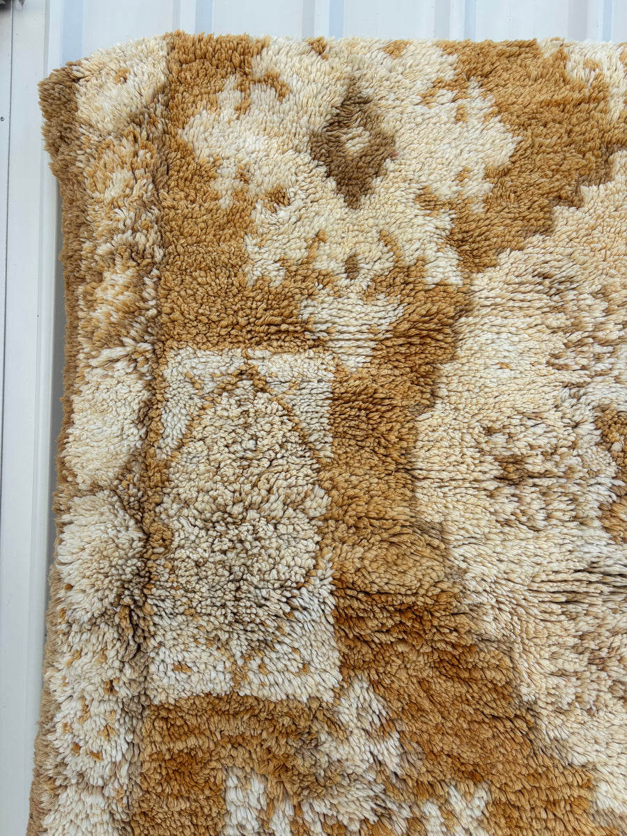 Desert Jewel | Vintage rug