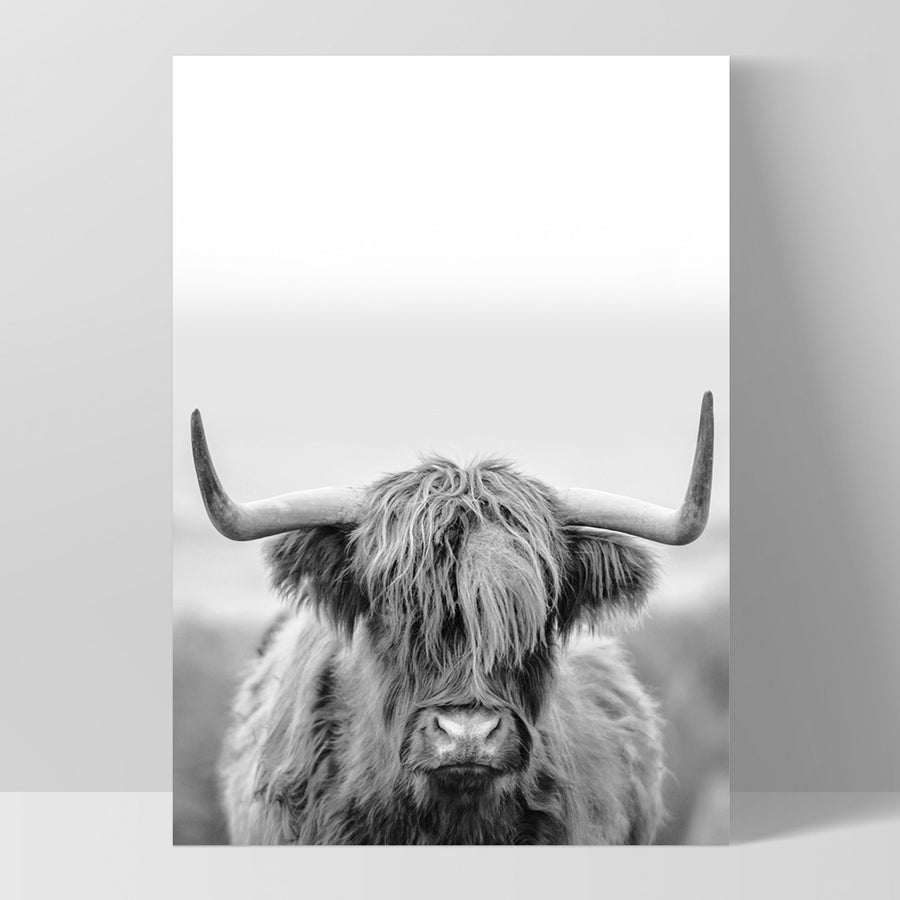 Vaca de las tierras altas | Imprimir